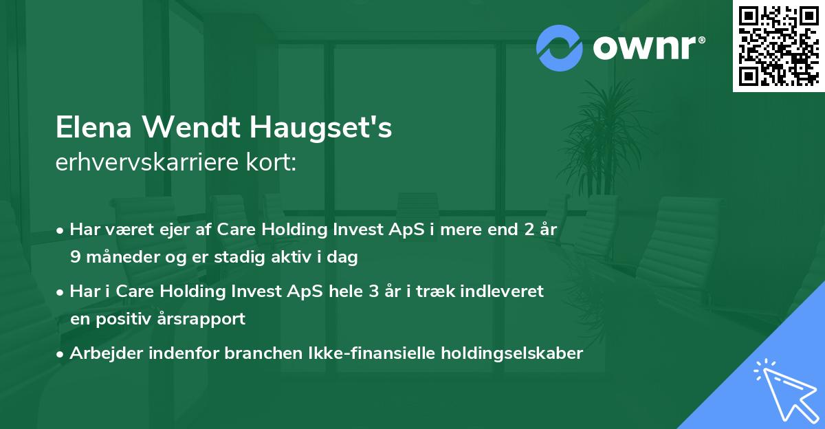 Elena Wendt Haugset's erhvervskarriere kort