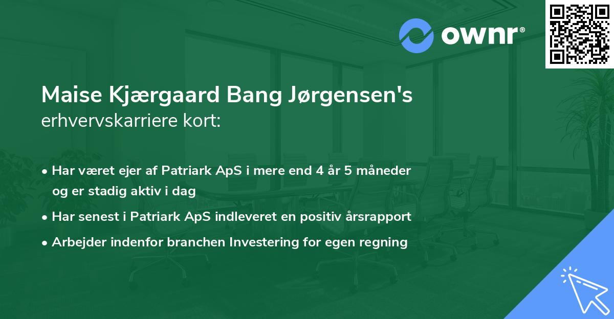 Maise Kjærgaard Bang Jørgensen's erhvervskarriere kort