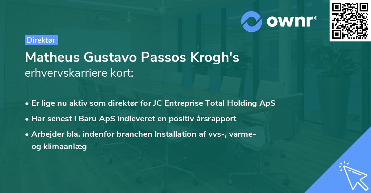 Matheus Gustavo Passos Krogh's erhvervskarriere kort
