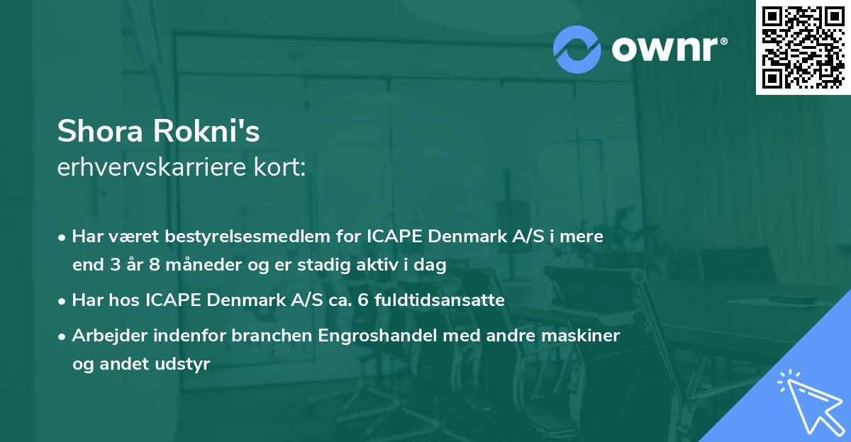 Shora Rokni's erhvervskarriere kort