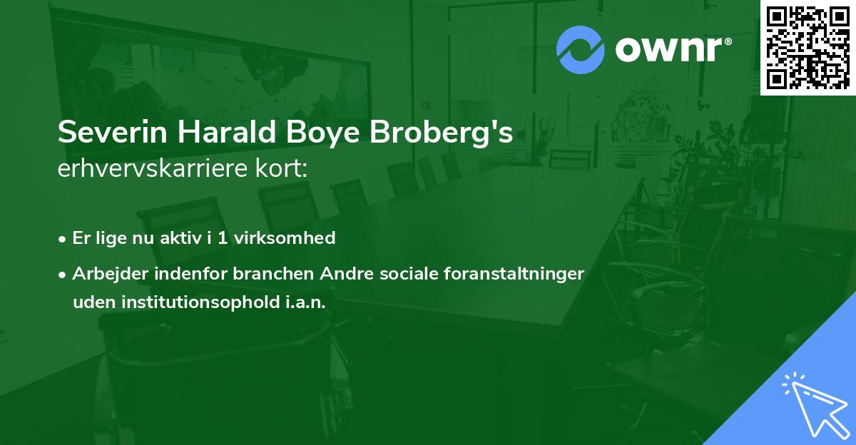 Severin Harald Boye Broberg's erhvervskarriere kort