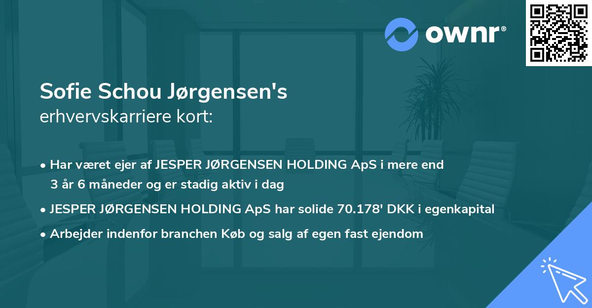 Sofie Schou Jørgensen's erhvervskarriere kort