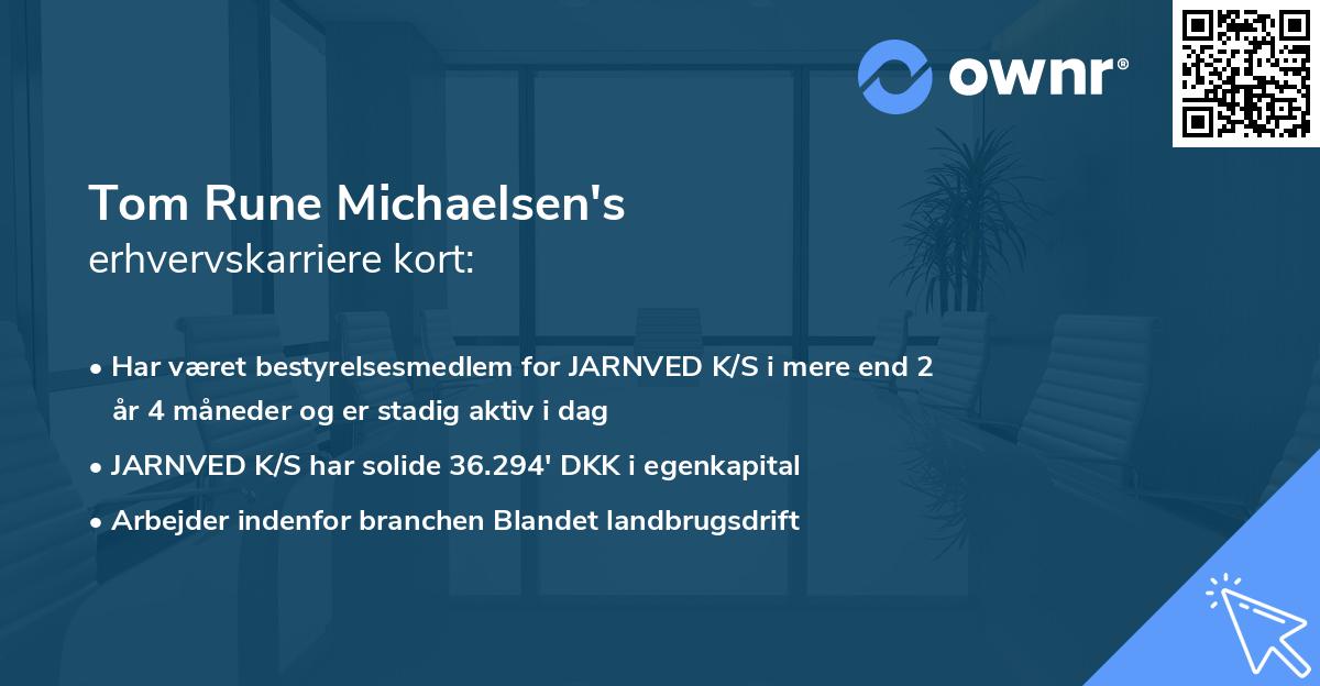 Tom Rune Michaelsen's erhvervskarriere kort