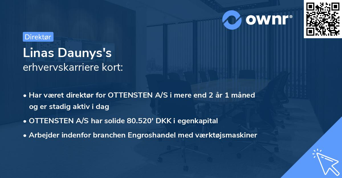 Linas Daunys's erhvervskarriere kort