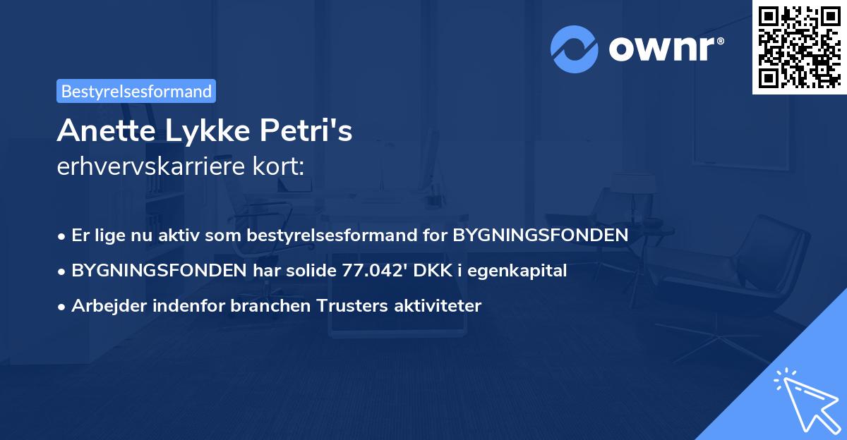 Anette Lykke Petri's erhvervskarriere kort