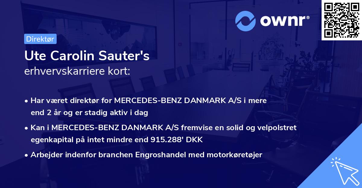 Ute Carolin Sauter's erhvervskarriere kort