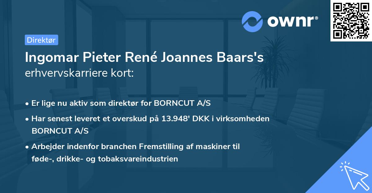 Ingomar Pieter René Joannes Baars's erhvervskarriere kort