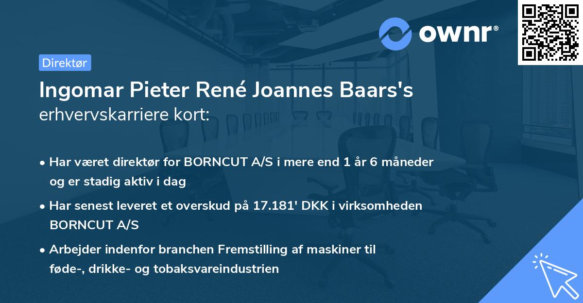 Ingomar Pieter René Joannes Baars's erhvervskarriere kort