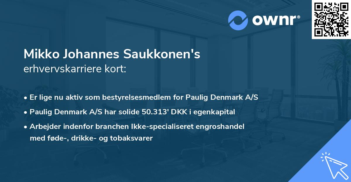 Mikko Johannes Saukkonen's erhvervskarriere kort