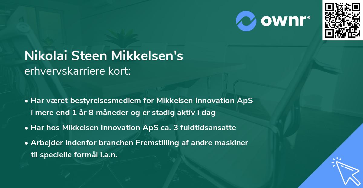 Nikolai Steen Mikkelsen's erhvervskarriere kort