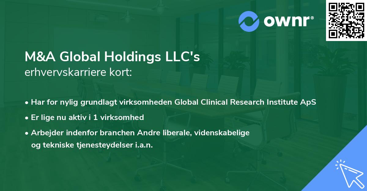 M&A Global Holdings LLC's erhvervskarriere kort