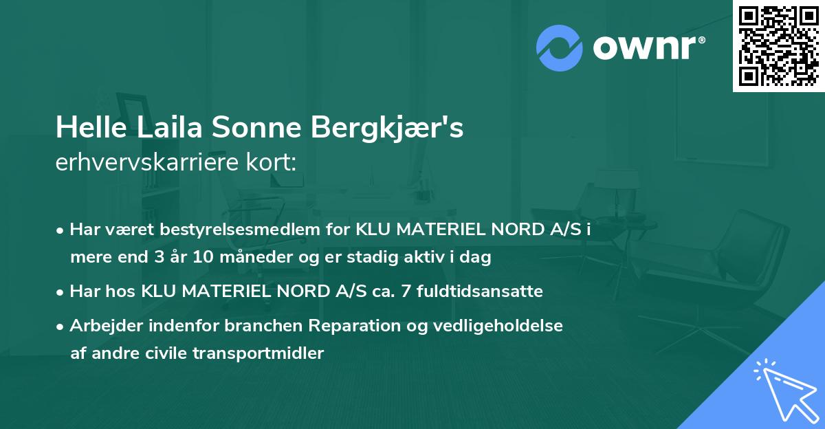 Helle Laila Sonne Bergkjær's erhvervskarriere kort
