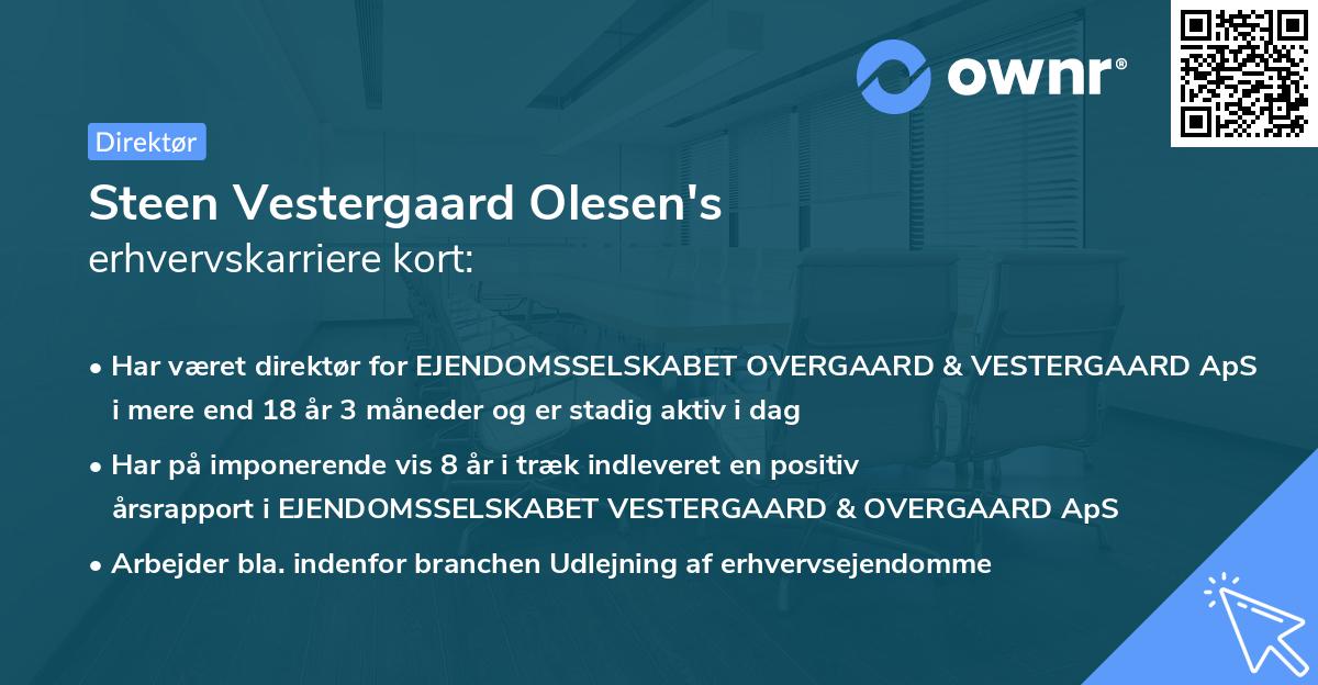 Steen Vestergaard Olesen's erhvervskarriere kort