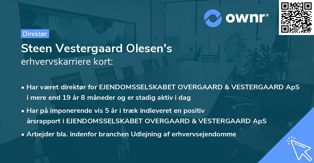 Steen Vestergaard Olesen's erhvervskarriere kort