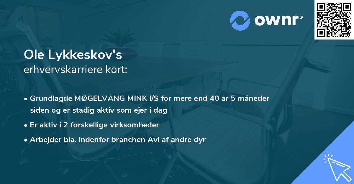 Ole Lykkeskov's erhvervskarriere kort