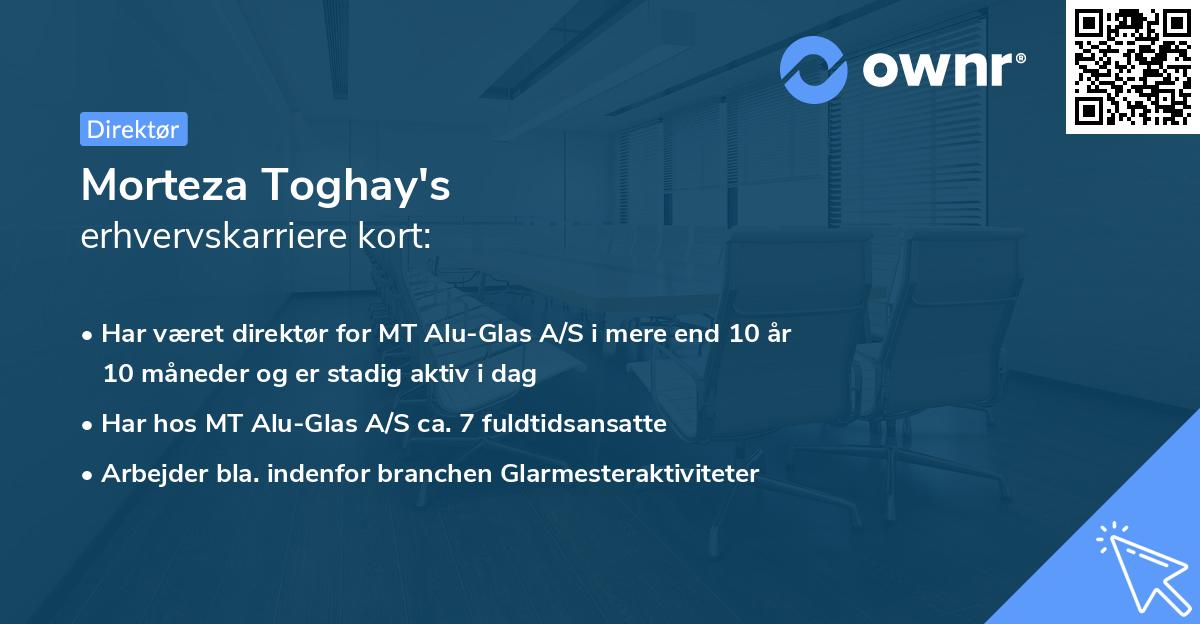 Morteza Toghay's erhvervskarriere kort