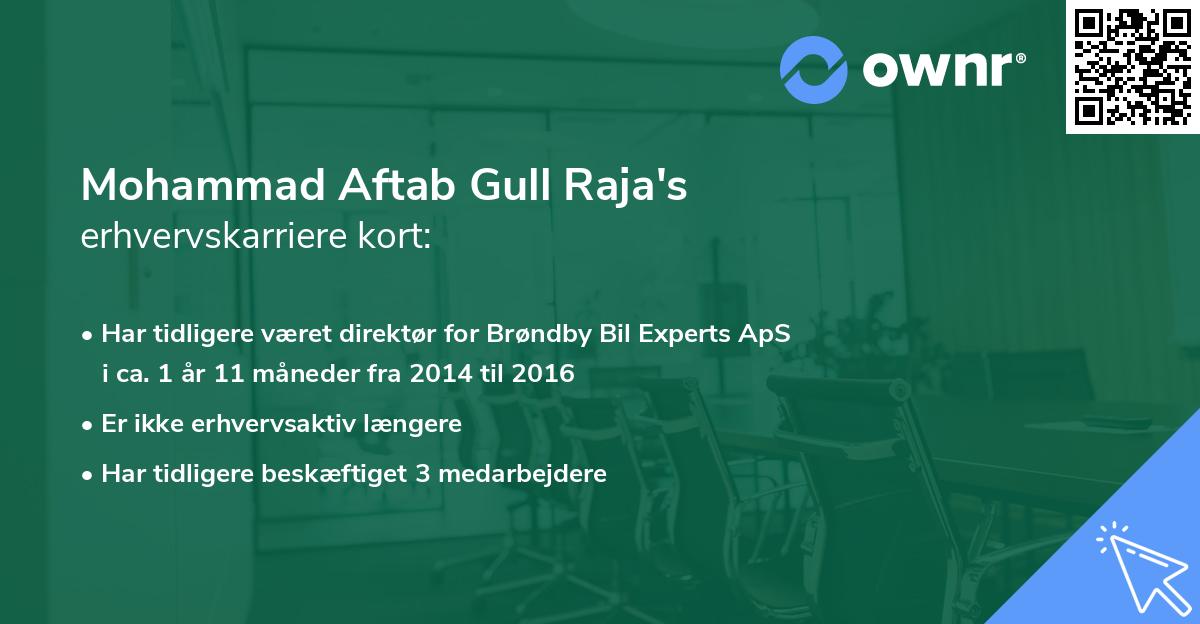 Mohammad Aftab Gull Raja's erhvervskarriere kort