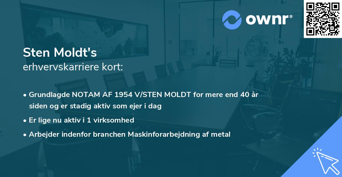 Sten Moldt's erhvervskarriere kort
