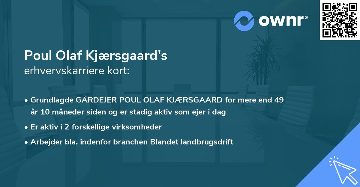 Poul Olaf Kjærsgaard's erhvervskarriere kort