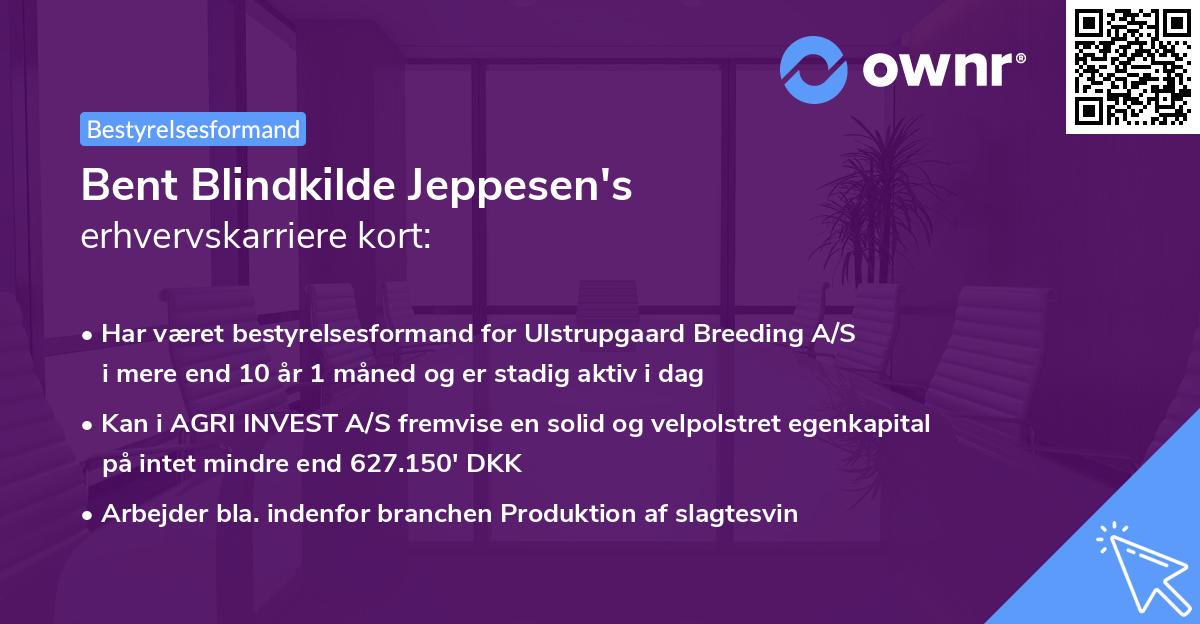 Bent Blindkilde Jeppesen's erhvervskarriere kort