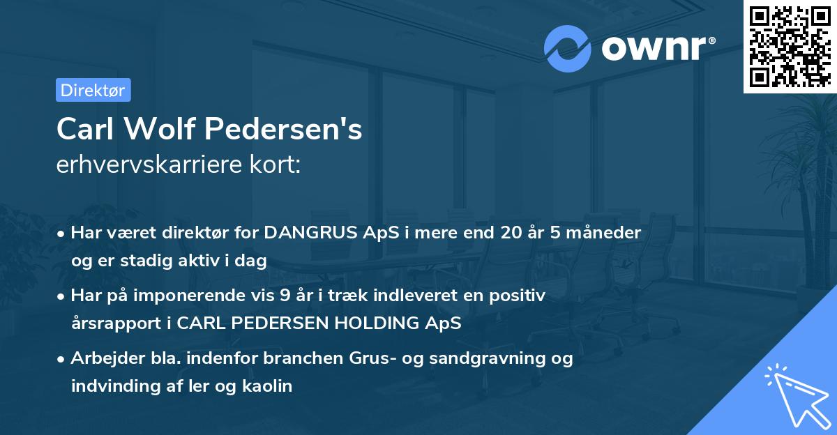 Carl Wolf Pedersen's erhvervskarriere kort