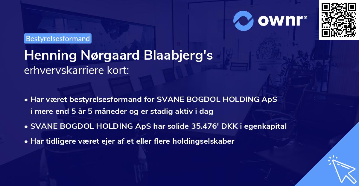 Henning Nørgaard Blaabjerg's erhvervskarriere kort