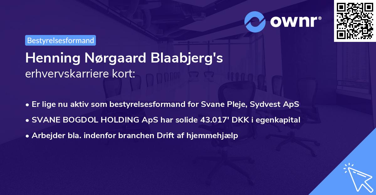 Henning Nørgaard Blaabjerg's erhvervskarriere kort