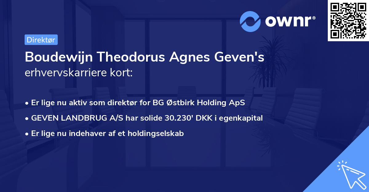 Boudewijn Theodorus Agnes Geven's erhvervskarriere kort