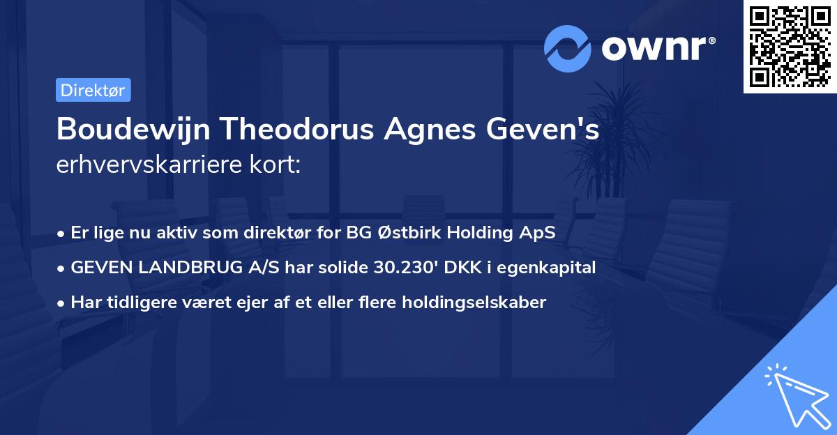 Boudewijn Theodorus Agnes Geven's erhvervskarriere kort