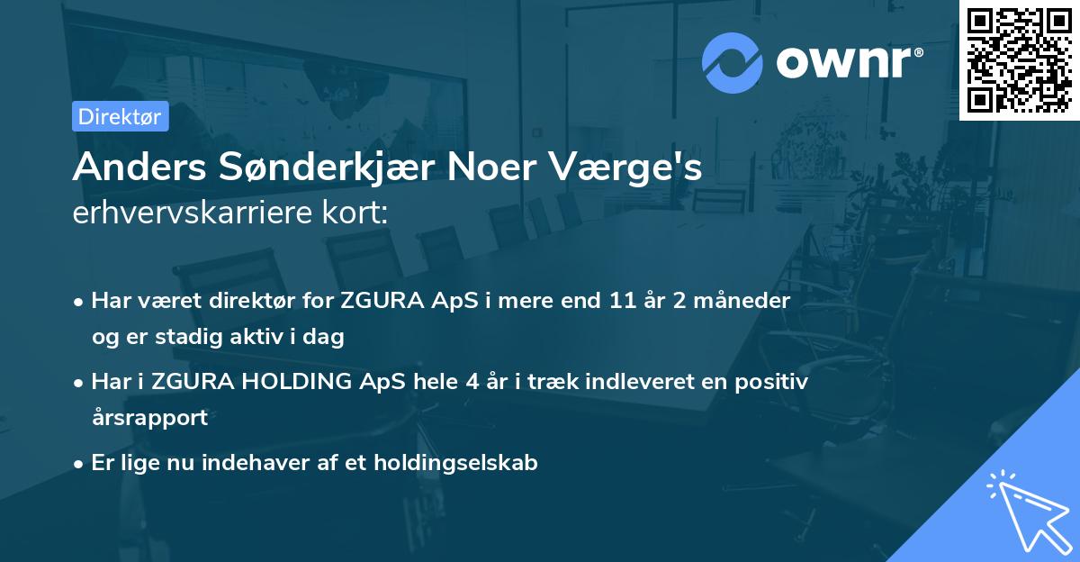 Anders Sønderkjær Noer Værge's erhvervskarriere kort