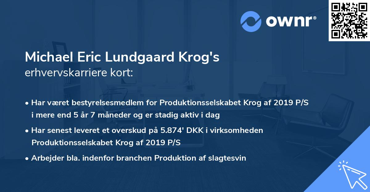 Michael Eric Lundgaard Krog's erhvervskarriere kort