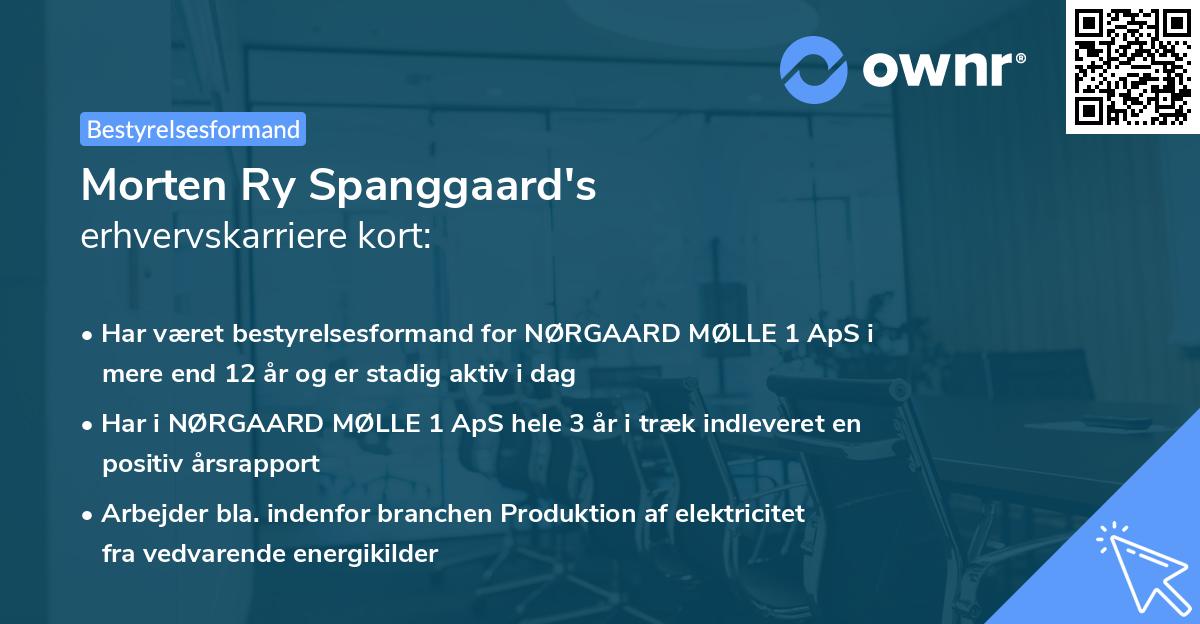 Morten Ry Spanggaard's erhvervskarriere kort