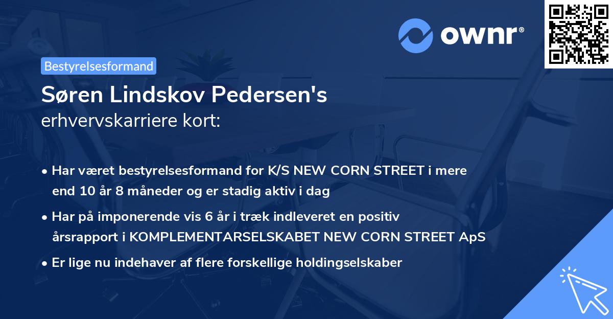 Søren Lindskov Pedersen's erhvervskarriere kort