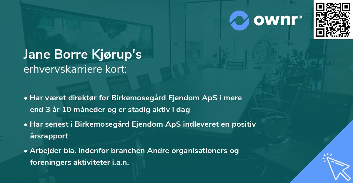Jane Borre Kjørup's erhvervskarriere kort
