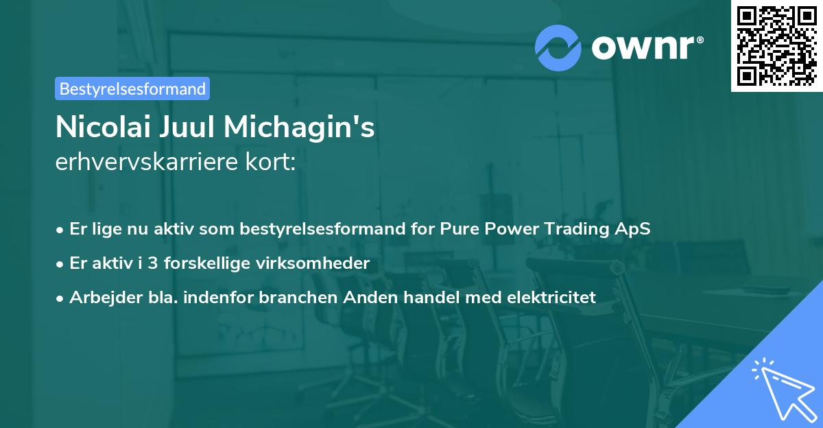 Nicolai Juul Michagin's erhvervskarriere kort
