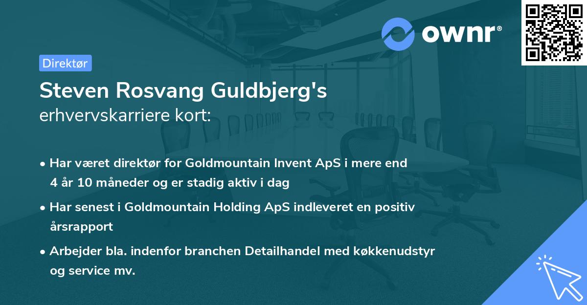 Steven Rosvang Guldbjerg's erhvervskarriere kort