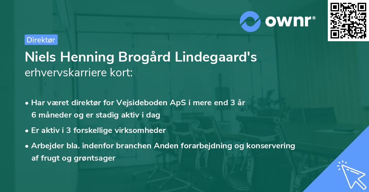 Niels Henning Brogård Lindegaard's erhvervskarriere kort