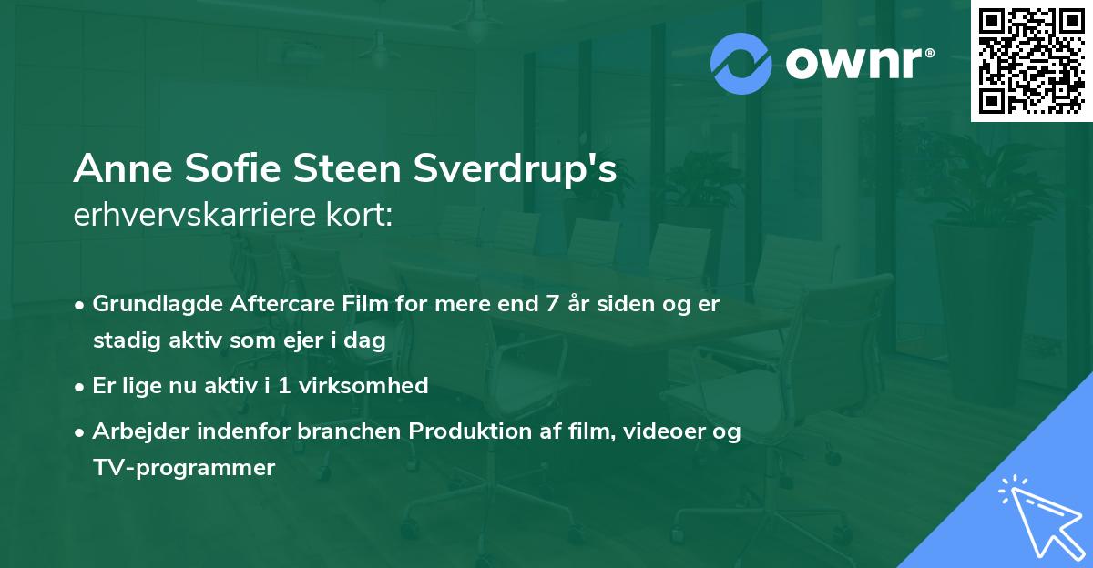 Anne Sofie Steen Sverdrup's erhvervskarriere kort