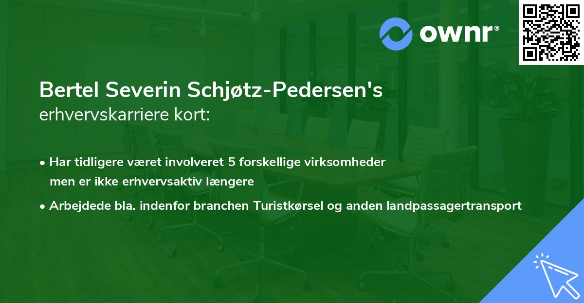 Bertel Severin Schjøtz-Pedersen's erhvervskarriere kort