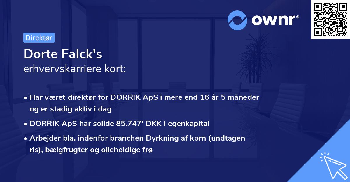 Dorte Falck's erhvervskarriere kort