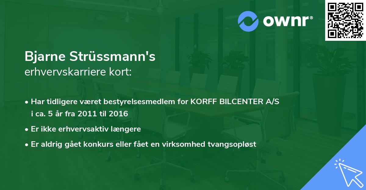 Bjarne Strüssmann's erhvervskarriere kort