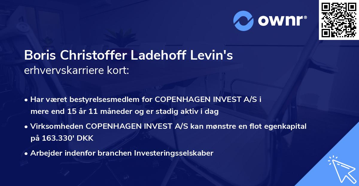 Boris Christoffer Ladehoff Levin's erhvervskarriere kort