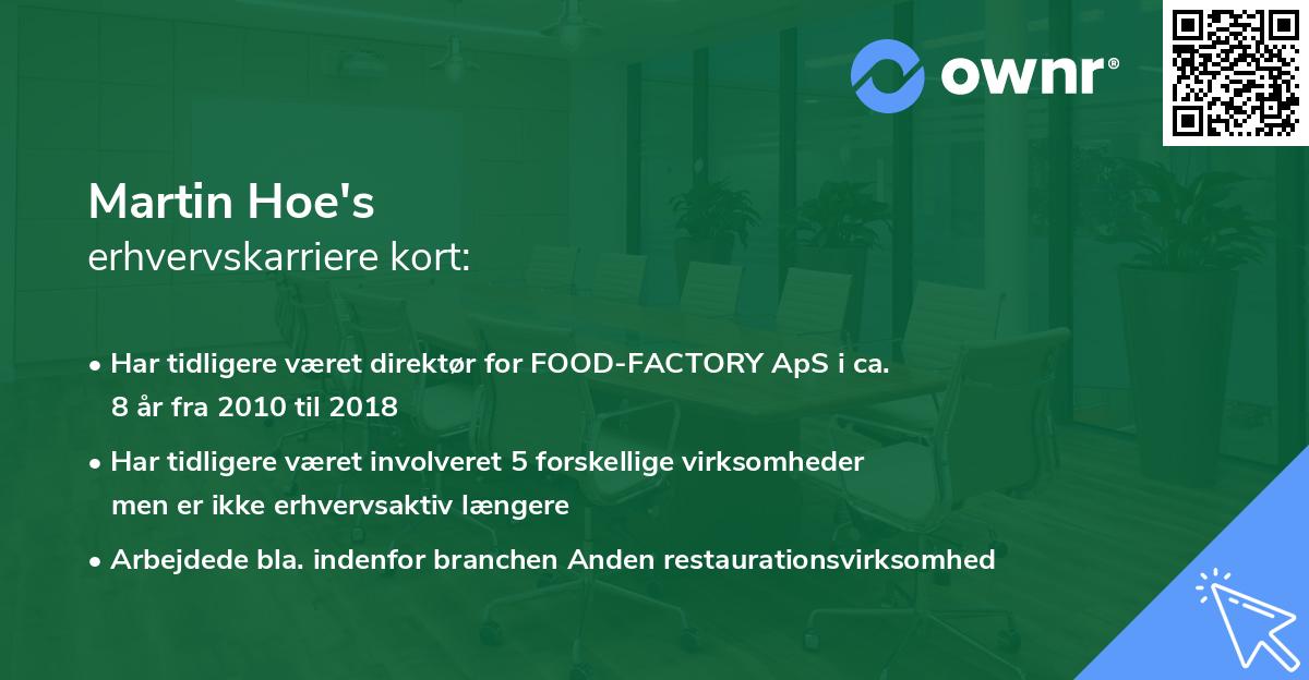 Martin Hoe's erhvervskarriere kort