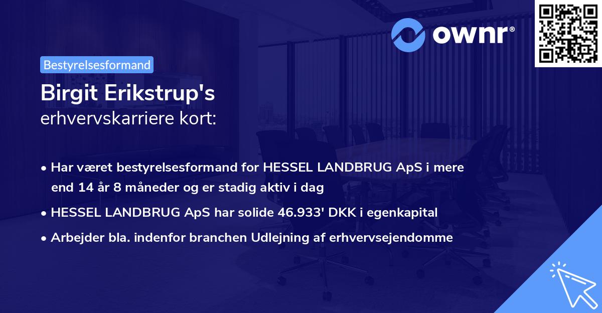 Birgit Erikstrup's erhvervskarriere kort