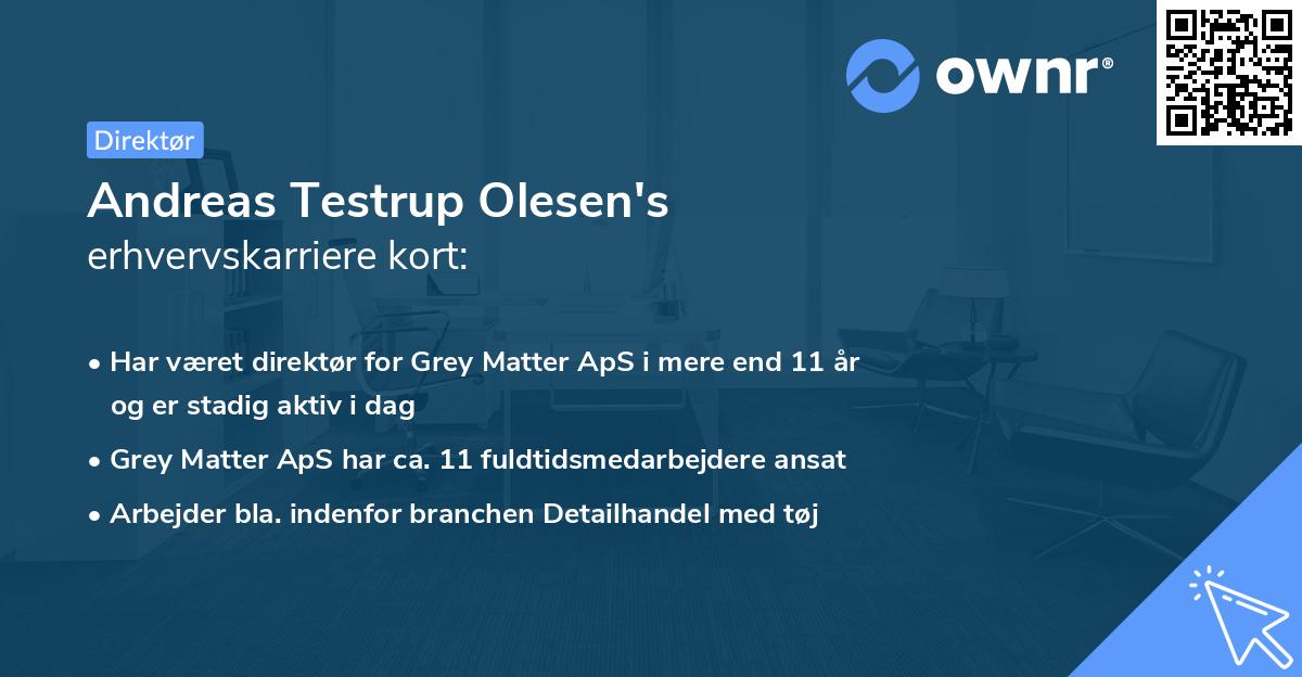 Andreas Testrup Olesen's erhvervskarriere kort