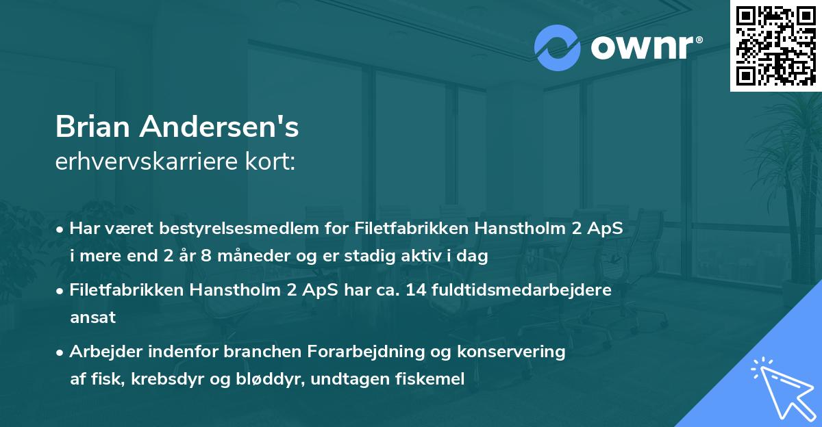 Brian Andersen's erhvervskarriere kort