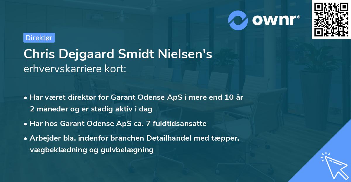 Chris Dejgaard Smidt Nielsen's erhvervskarriere kort