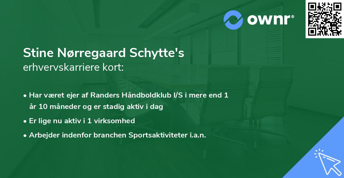 Stine Nørregaard Schytte's erhvervskarriere kort