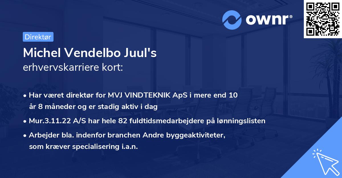 Michel Vendelbo Juul's erhvervskarriere kort