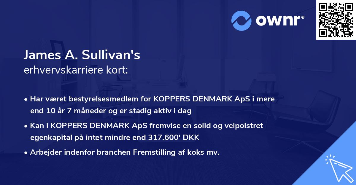 James A. Sullivan's erhvervskarriere kort